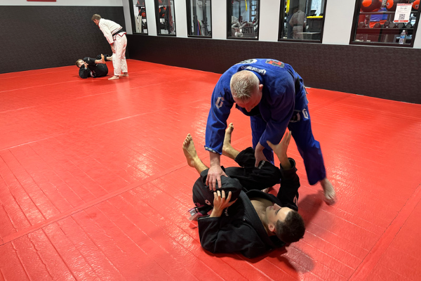 jiu-jitsu brewster ny