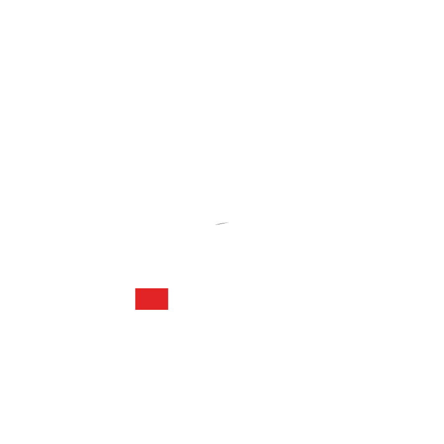Altus Jiu-Jitsu — Discipline, Determination, Drive